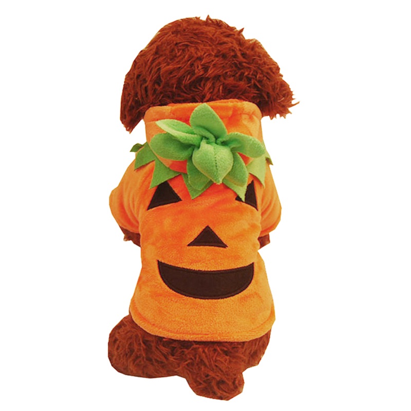 Halloween Pumpkin Costume for Your Pet